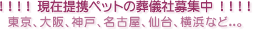 現在提携ペットの葬儀社募集中！東京、大阪、神戸、名古屋、仙台、横浜など…