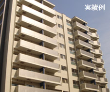 実績例