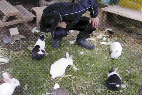 活動写真「いとしい命…動物たちもたくさん」