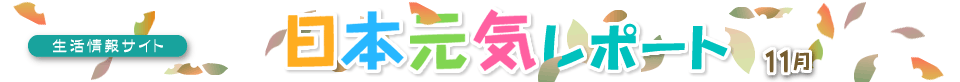 �������T�C�g ���{���C���|�[�g